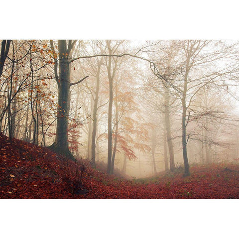 Waiting For The Deer. Gold Ornate Wood Framed Art Print with Double Matting by Londal, Leif