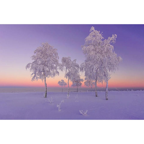January Evening Black Modern Wood Framed Art Print with Double Matting by Makhmud-Akhunov, Ruslan