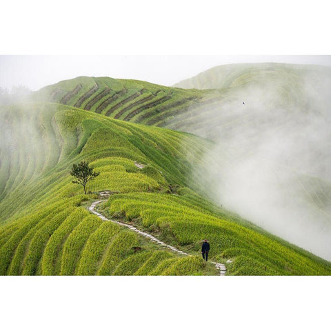 Pingan Rice Terraces White Modern Wood Framed Art Print by Pavlin, Miha