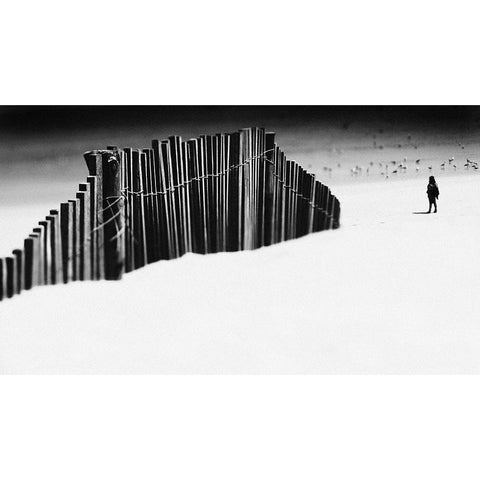 How Do You Fall In Love Black Modern Wood Framed Art Print with Double Matting by Correia, Rui