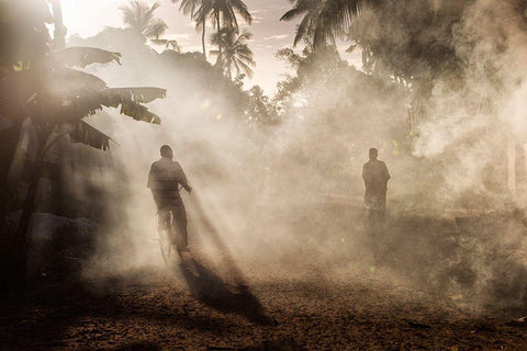 Bike In Fog Black Ornate Wood Framed Art Print with Double Matting by Mirica, Dan