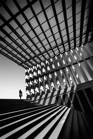 Drifting Black Ornate Wood Framed Art Print with Double Matting by Abrantes, Paulo