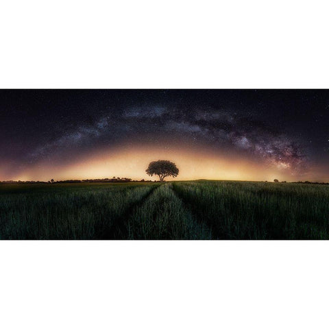 Milky Way Over Lonely Tree White Modern Wood Framed Art Print by Ferrero, Ivan