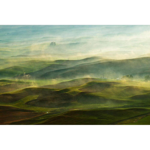Golden Morning-Palouse White Modern Wood Framed Art Print by Shen, Jikui