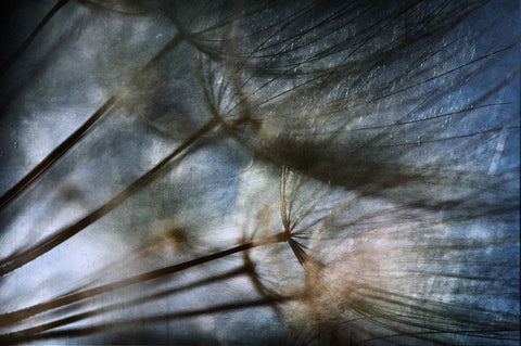 Untitled Black Ornate Wood Framed Art Print with Double Matting by Grambone, Antonio