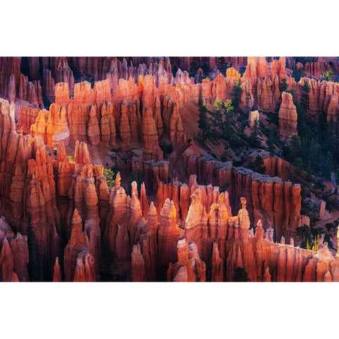 Bryce Canyon At Sunset Gold Ornate Wood Framed Art Print with Double Matting by Li, Austin