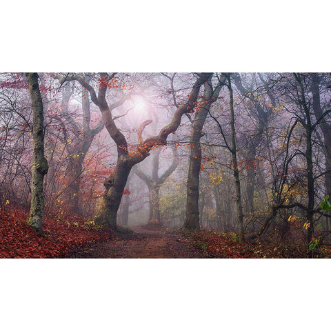 Walking The Old Path. Black Modern Wood Framed Art Print by Londal, Leif