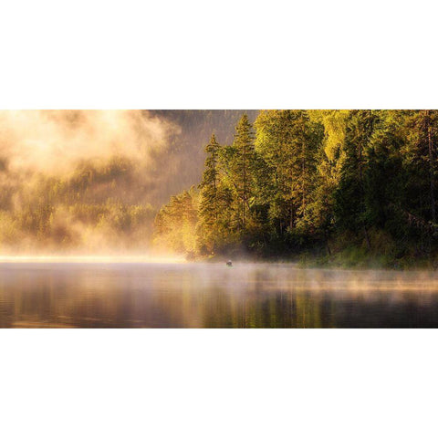 Enjoying Nature Gold Ornate Wood Framed Art Print with Double Matting by Gastager, Daniel