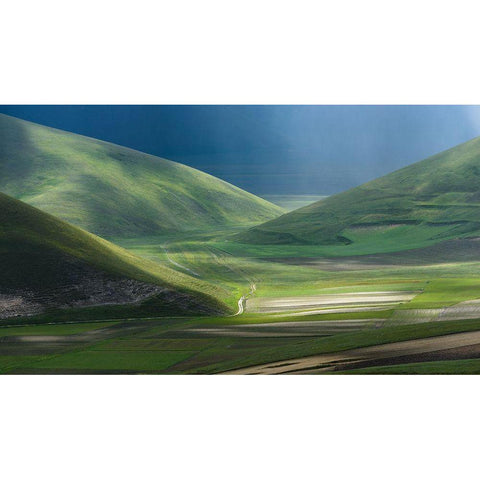 Untitled White Modern Wood Framed Art Print by Lucidi, Riccardo