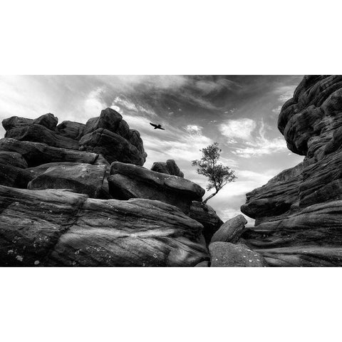 Brimham Black Modern Wood Framed Art Print by Therion