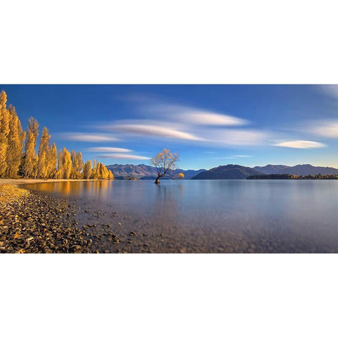 Autumn In Lake Wanaka White Modern Wood Framed Art Print by Zhu, Hua