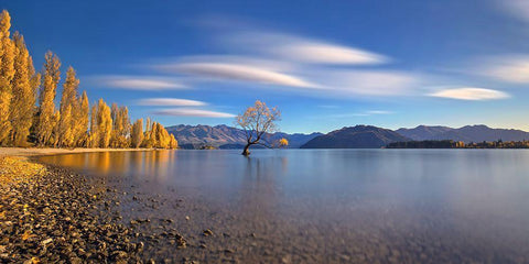 Autumn In Lake Wanaka White Modern Wood Framed Art Print with Double Matting by Zhu, Hua