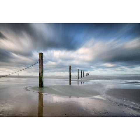 Still Standing Black Modern Wood Framed Art Print with Double Matting by Staelens, Christophe