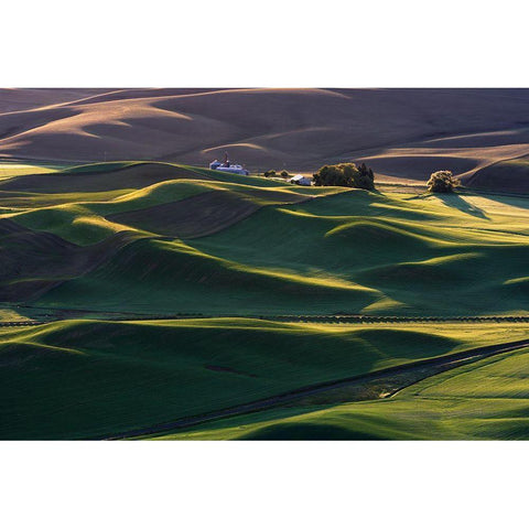 Dream Land #3 Gold Ornate Wood Framed Art Print with Double Matting by Li, Austin