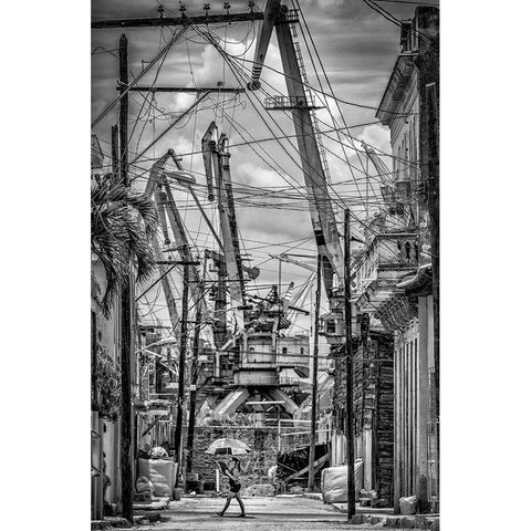 Umbrella Black Modern Wood Framed Art Print with Double Matting by Bauer, Andreas