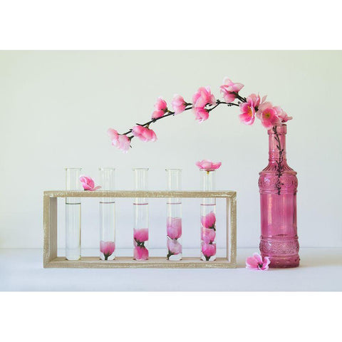 Petal Collecting Black Modern Wood Framed Art Print by Hammer, Jacqueline