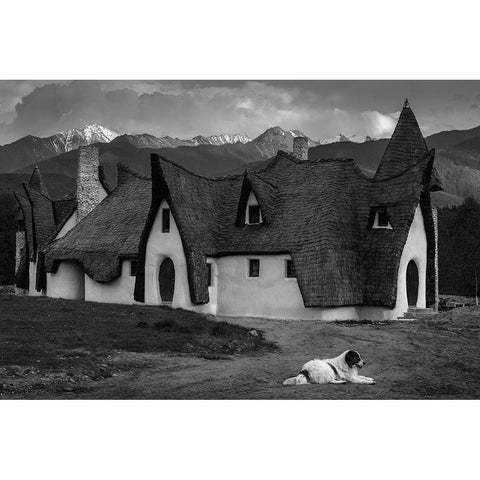 Fantasy Cob Castle From Transylvania White Modern Wood Framed Art Print by Vasiu, Sebastian