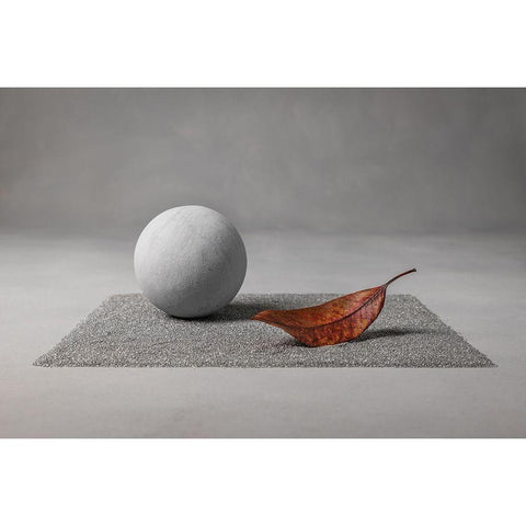 Moon Landing Gold Ornate Wood Framed Art Print with Double Matting by Verot, Christophe