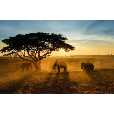 Morning Elephant Home Town White Modern Wood Framed Art Print by Whanset, Saravut