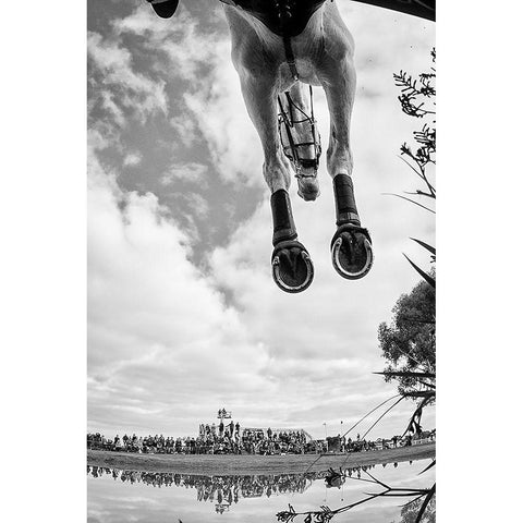 Equine Flight White Modern Wood Framed Art Print by Lee Chapman, Sharon