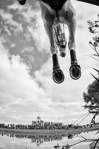 Equine Flight White Modern Wood Framed Art Print with Double Matting by Lee Chapman, Sharon