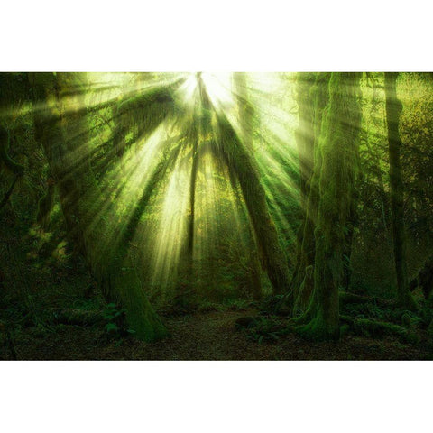 The Miracle Black Modern Wood Framed Art Print by Zakravsky, Jaroslav