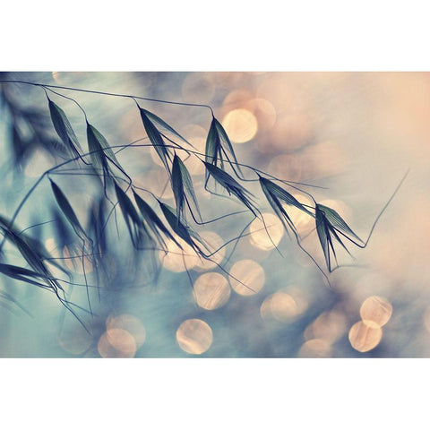 ...Lll Black Modern Wood Framed Art Print with Double Matting by Lazarov, Dimitar