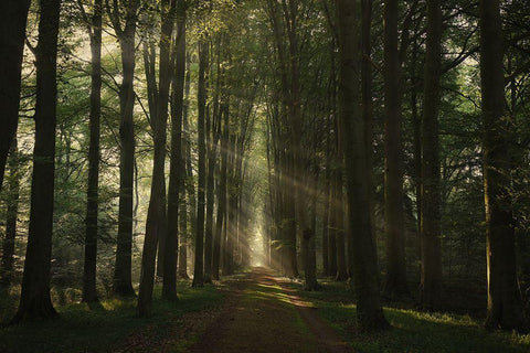 The Essential Black Ornate Wood Framed Art Print with Double Matting by Croce, Vincent