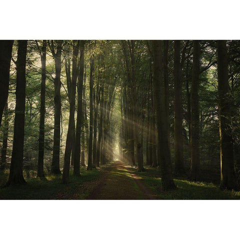 The Essential Black Modern Wood Framed Art Print by Croce, Vincent