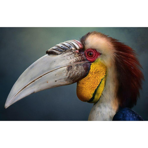 Jabrix White Modern Wood Framed Art Print by Bhs, Fahmi