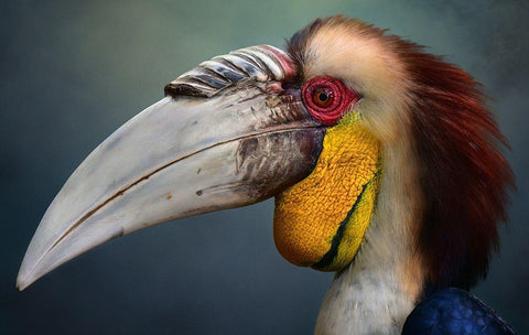 Jabrix White Modern Wood Framed Art Print with Double Matting by Bhs, Fahmi