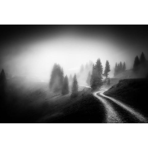 In The Mountains White Modern Wood Framed Art Print by Keller, Nic