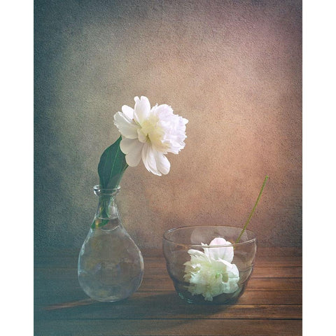 Two Peonies Black Modern Wood Framed Art Print by Pan, Sophie