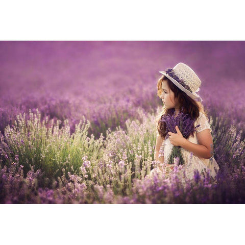 Lili Black Modern Wood Framed Art Print by Kvaltinova, Jana