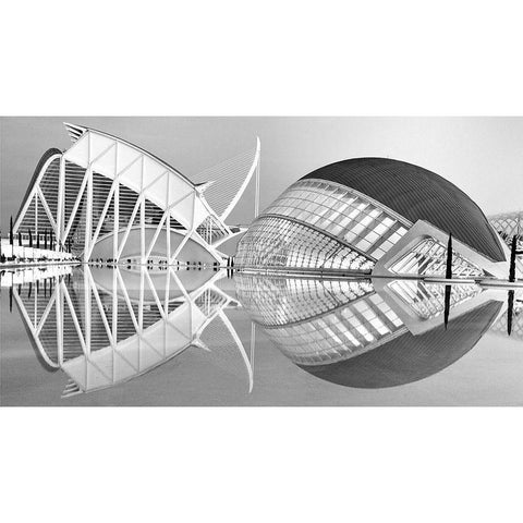 Valencia Black Modern Wood Framed Art Print by Della Latta, Massimo