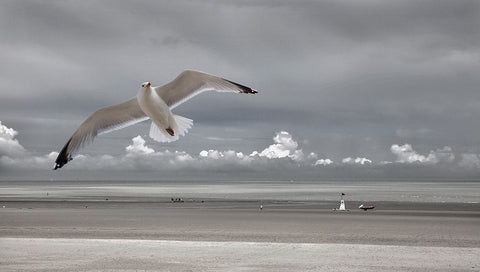 Seaside Mood Black Ornate Wood Framed Art Print with Double Matting by Depaepe, Yvette