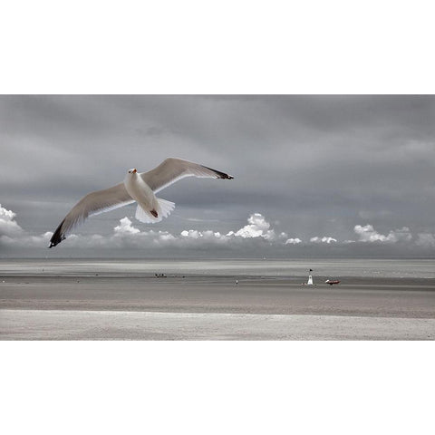 Seaside Mood Black Modern Wood Framed Art Print with Double Matting by Depaepe, Yvette