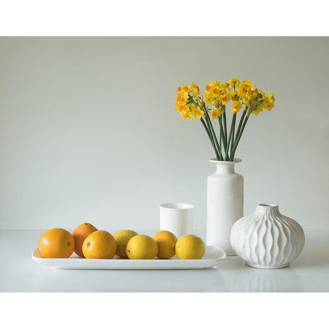 Jonquils And Citrus White Modern Wood Framed Art Print by Hammer, Jacqueline