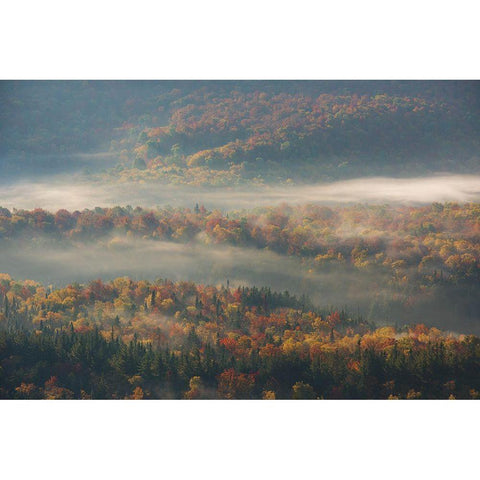 Misty Morning Black Modern Wood Framed Art Print by Li, Austin