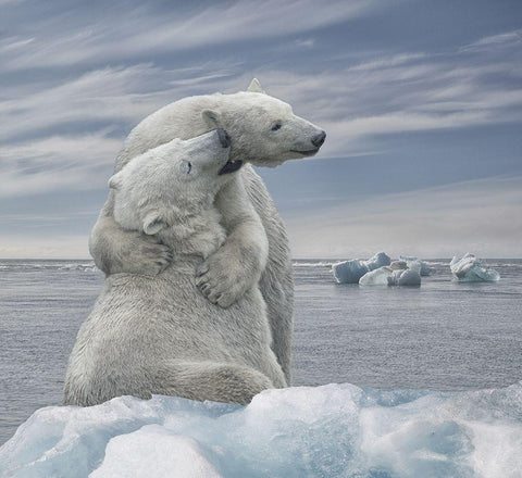 The Big Hug White Modern Wood Framed Art Print with Double Matting by Heylen, Rene