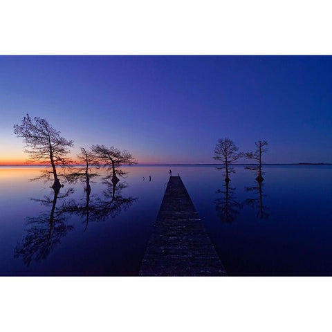 Waiting Black Modern Wood Framed Art Print by Yu, Liyun