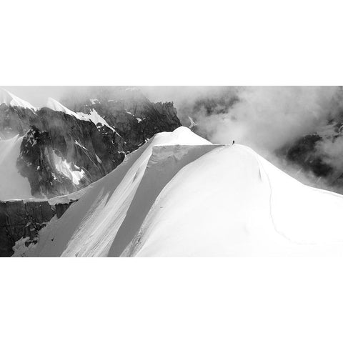 Alone White Modern Wood Framed Art Print by Sokol, Matej