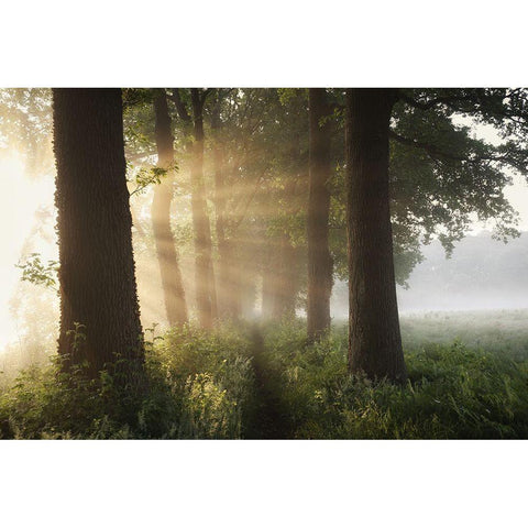 First Day Of Summer Black Modern Wood Framed Art Print with Double Matting by Croce, Vincent