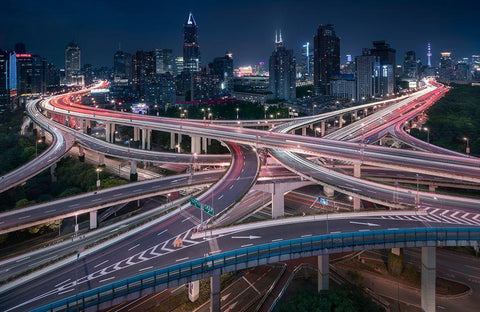 Nine Dragons Black Ornate Wood Framed Art Print with Double Matting by Vandewalle, Richard