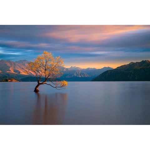 Morning Glow White Modern Wood Framed Art Print by Doyle, Renee