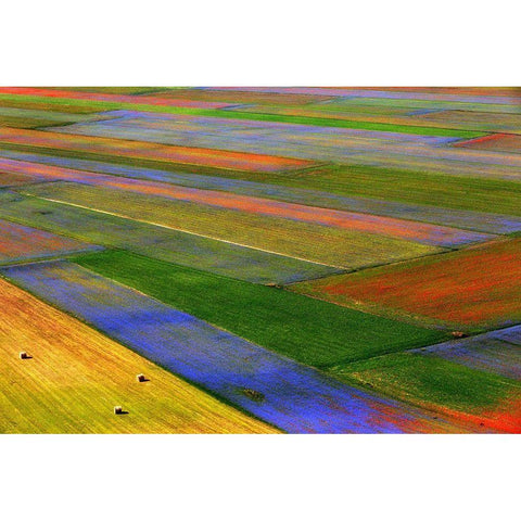 La Coperta Black Modern Wood Framed Art Print with Double Matting by Della Latta, Massimo