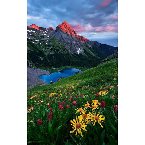 Colorful Colorado Gold Ornate Wood Framed Art Print with Double Matting by Xu, Mei