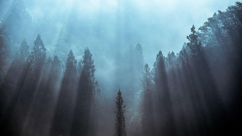 Light To Be Believed Likely White Modern Wood Framed Art Print with Double Matting by Fujii, Tsuneya