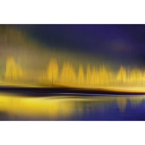 Yellow Night White Modern Wood Framed Art Print by Westum, Heidi