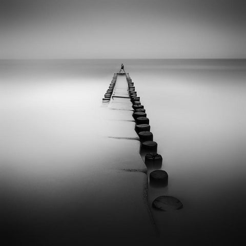 One Black Modern Wood Framed Art Print by Rericha, Daniel